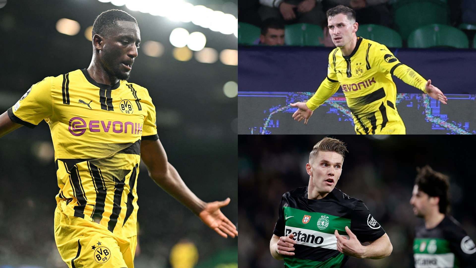 育项目的运 育项目的运