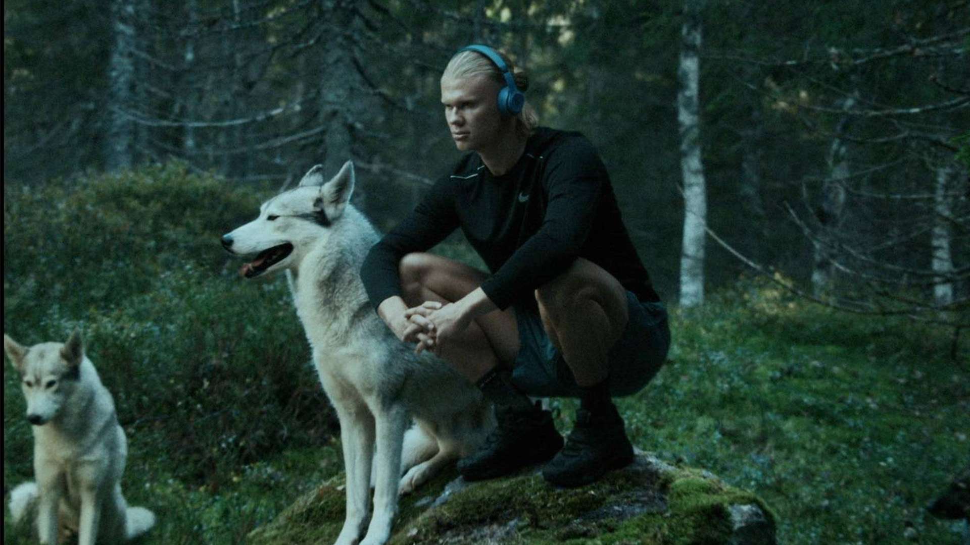 奥斯梅恩提 奥斯梅恩提