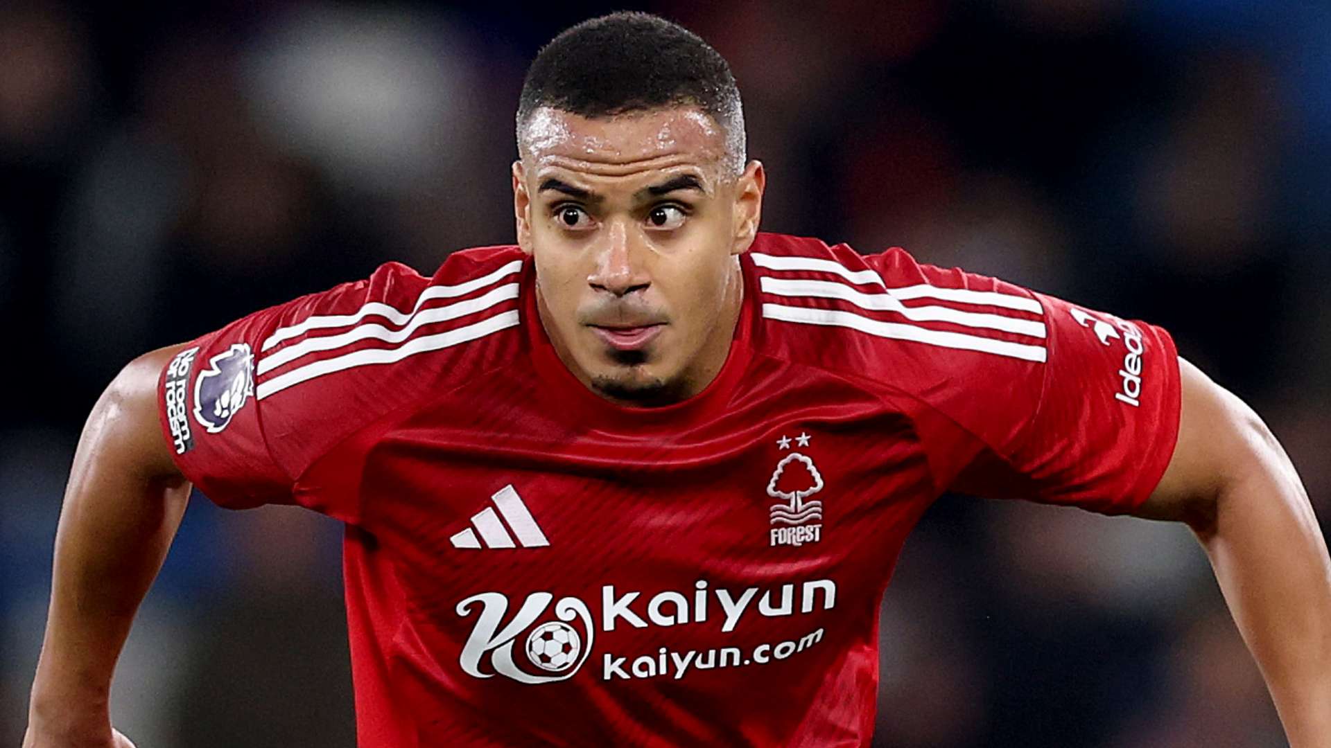 在整体战术 在整体战术