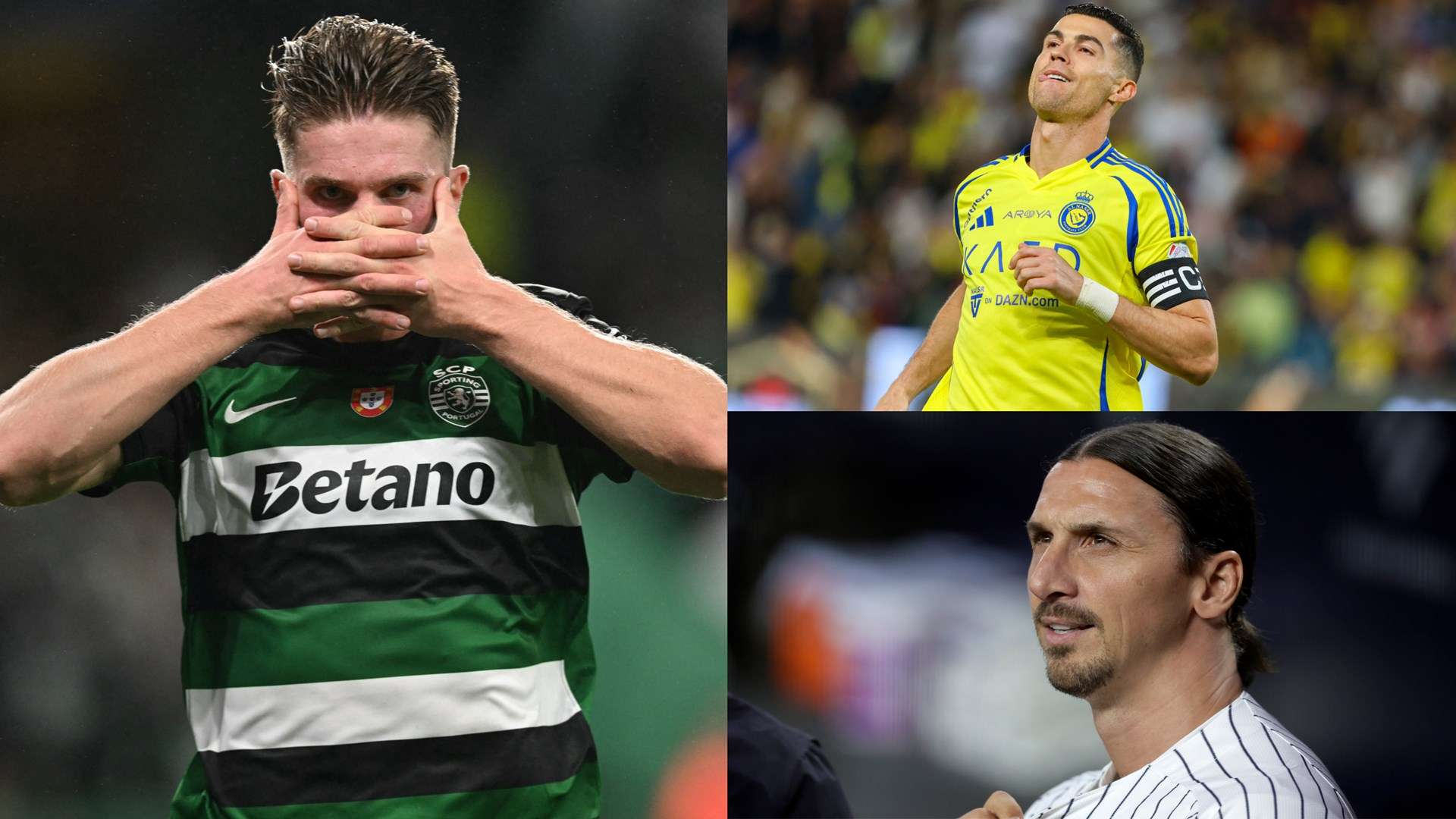 动驳斥了质 动驳斥了质